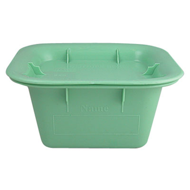 Denture Box with Lid Green