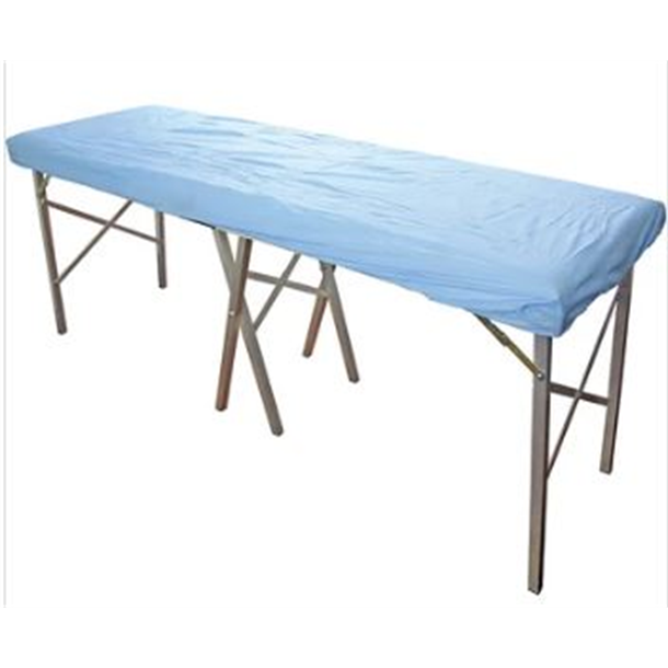 Disposable Blue Exam Fitted Sheet 187cm x 70cm x 10cm, Case of 100