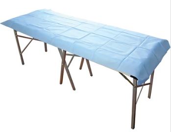 Disposable Flat Sheet Light-Blue 200cm x 70cm, 40gsm Carton of 100