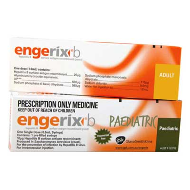 Engerix B *S4* Adult Single 1ml Prefilled Syringe.