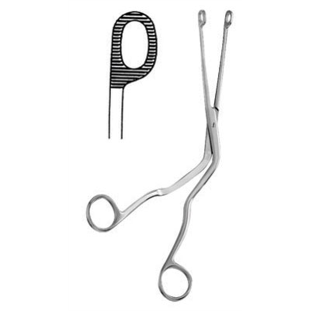Magill Introducing Forceps Adult 