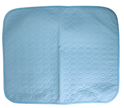 ABSORBENTCHAIRPAD59CmX50Cm