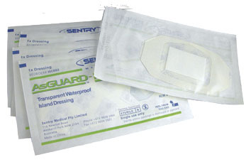 AsguardPlusDressing10X12CmBoxOf25