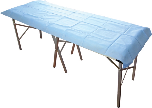 DisposableFlatSheetLight-Blue200CmX70Cm%2c40GsmCartonOf100