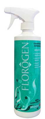 Florogen Original Air Freshener 500ml Pump Pack 
