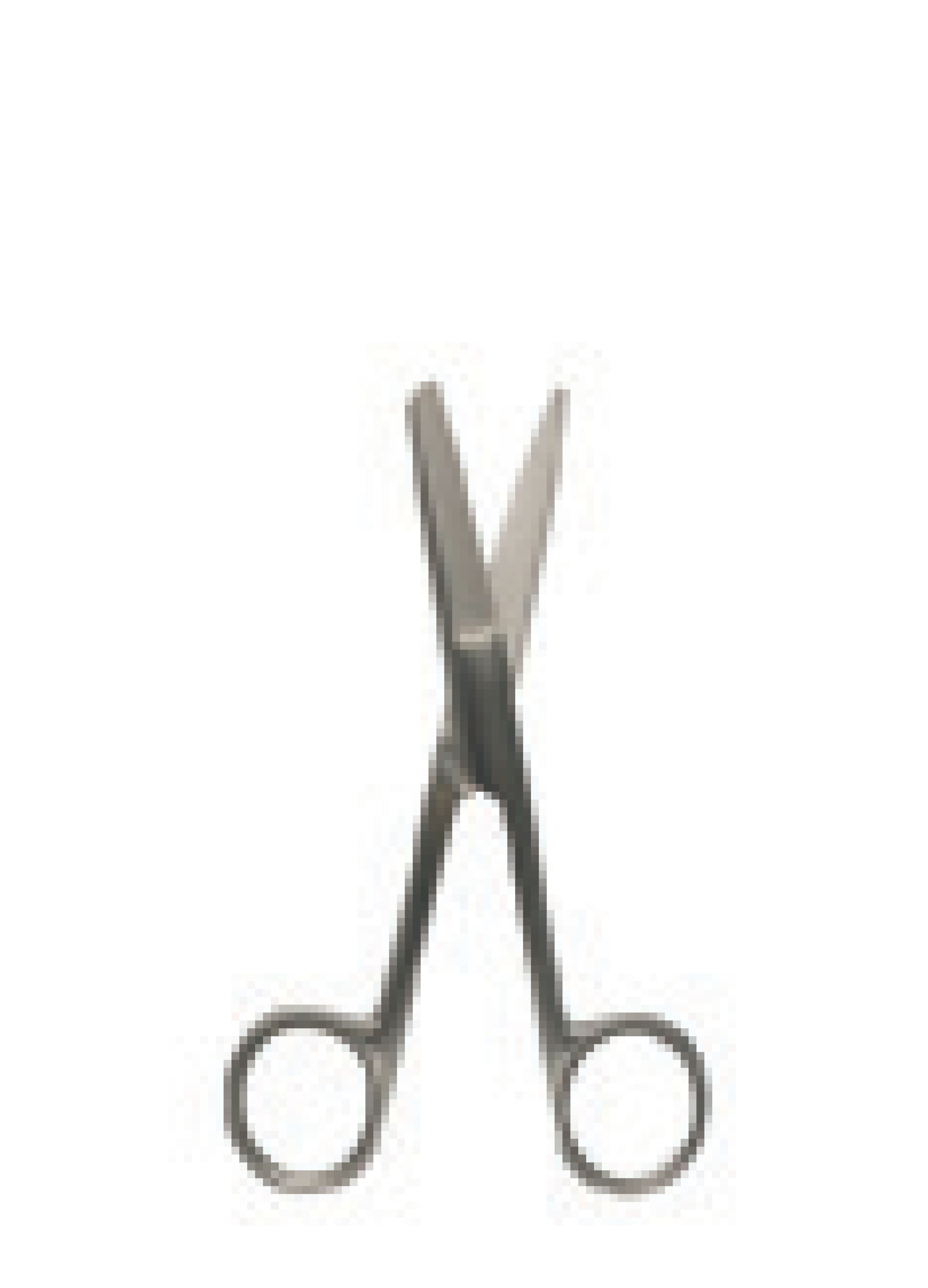 Hebu Dressing Scissors Straight B/B 13cm