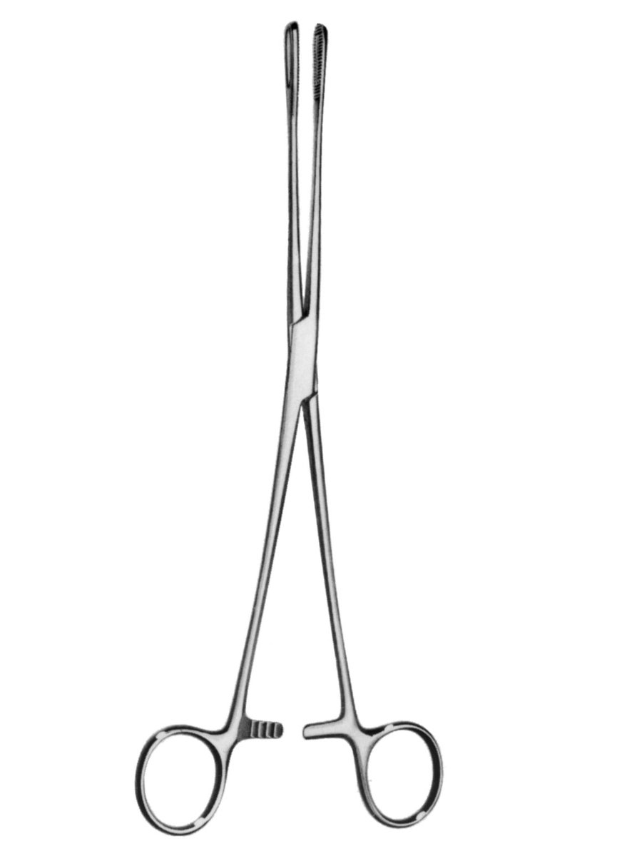 Hebu Foerster Sponge Holding Forceps Straight- Narrow 25cm
