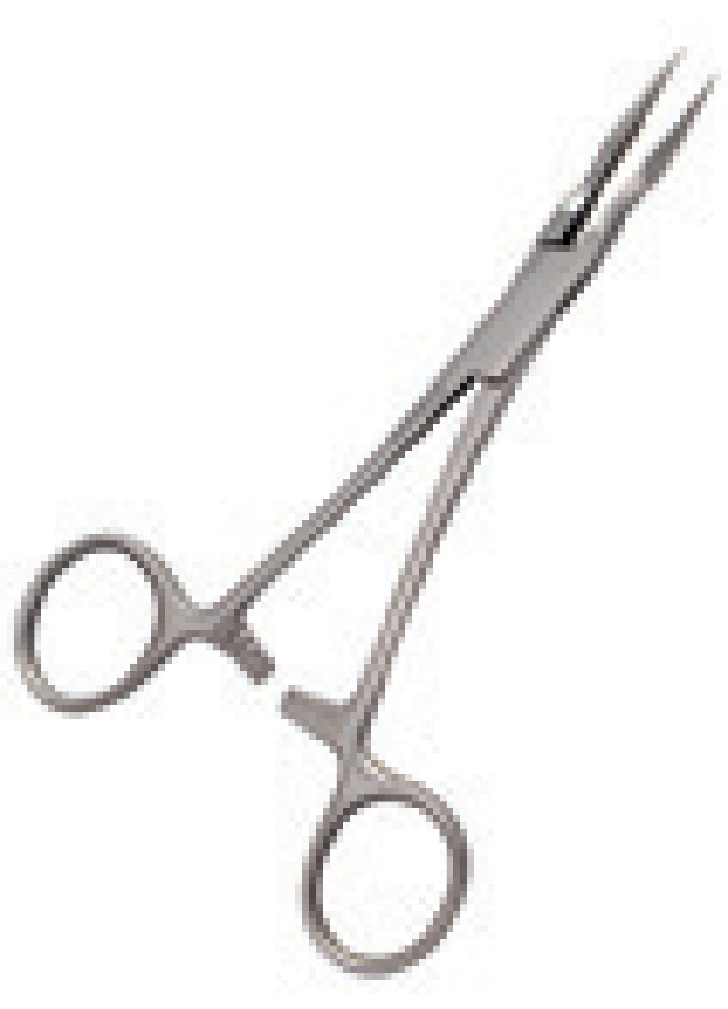Hebu Stieglitz Splinter Forceps Straight 14cm
