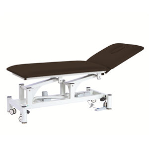 PacificMedical2SectionElectricHi-LoExamCouch%2cBlackUpholstery%2c71CmX195Cm250KgSWL%2cRetractableWheels