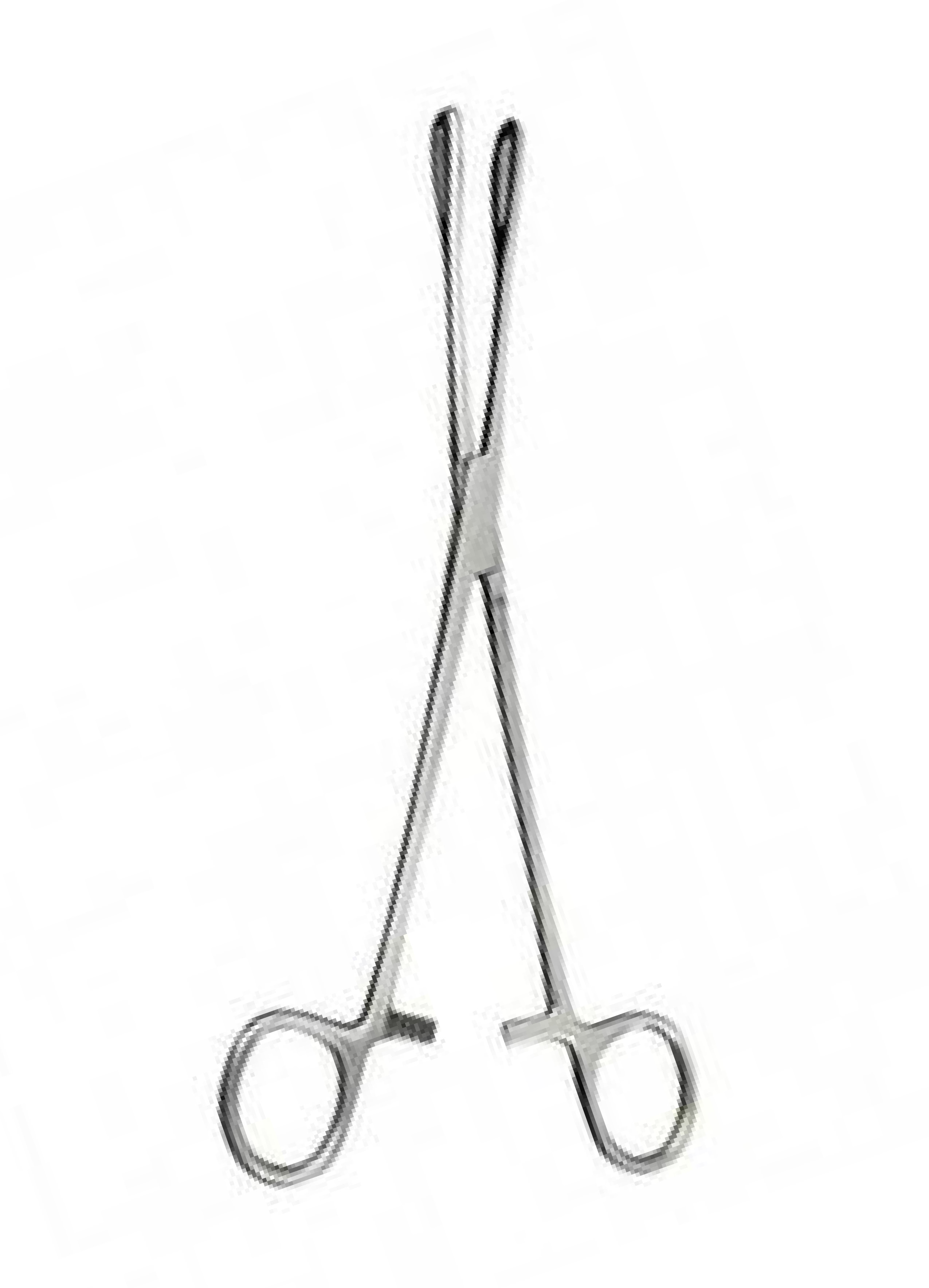 Rampley Sponge Holding Forceps Straight 25cm