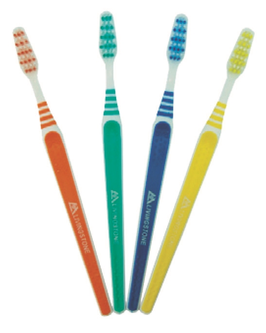 SeasonalToothbrushPackOf12