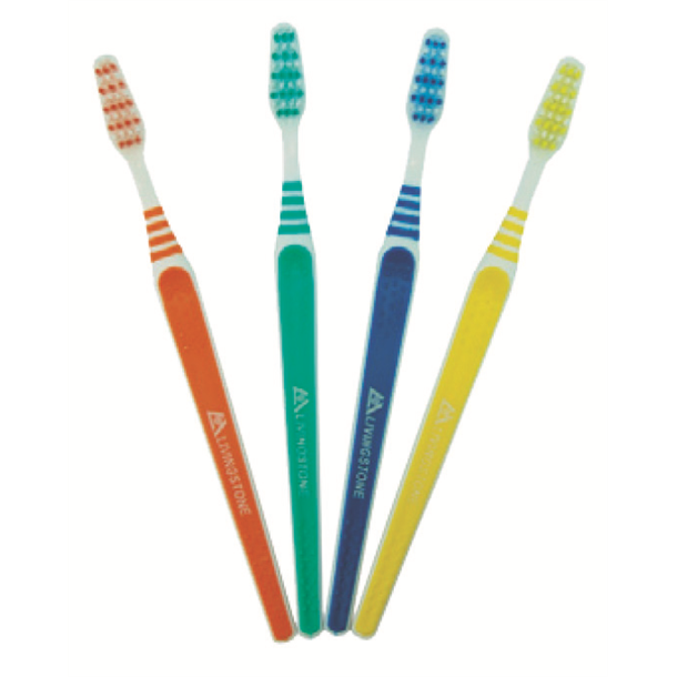 Seasonal Toothbrush Pack of 12